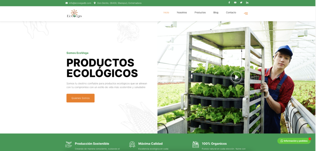 diseño web en Badajoz con Negocio Potencial